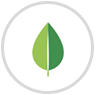 Icon presenting environment